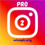 insta pro 2