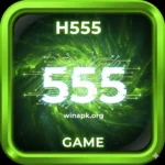H555 Game