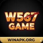 W567 Game