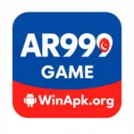 AR999 Game