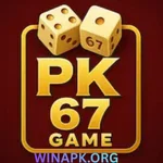 PK67 Game