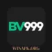 BV999 Game
