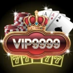 vip9999 game